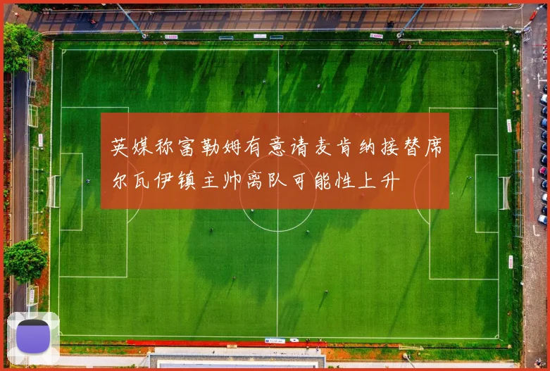 英媒称富勒姆有意请麦肯纳接替席尔瓦伊镇主帅离队可能性上升